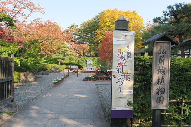 菊と紅葉まつり開催中の弘前城植物園