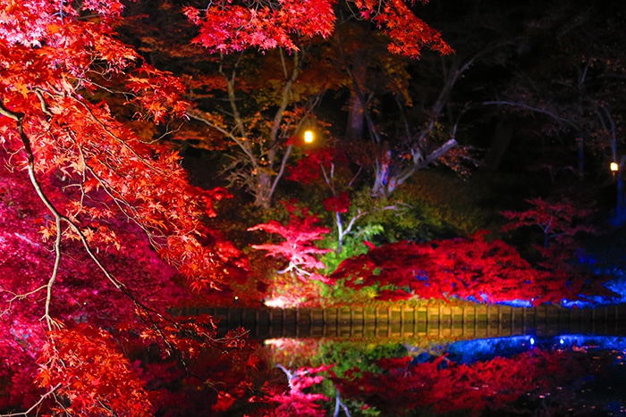 「魔界」と呼ばれた弘前城公園のライトアップ