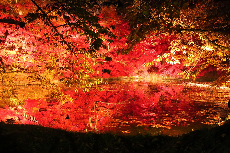 紅葉の弘前城公園