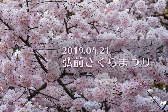 弘前さくらまつり2019（4/21撮影）