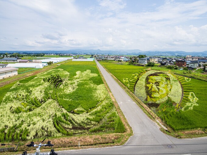 （タイトル）田舎館村田んぼアート2024