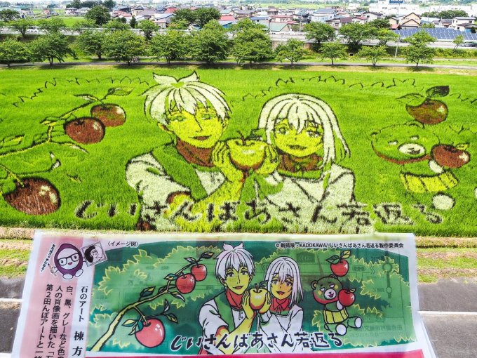 田んぼアート第二会場「じいさんばあさん若返る」